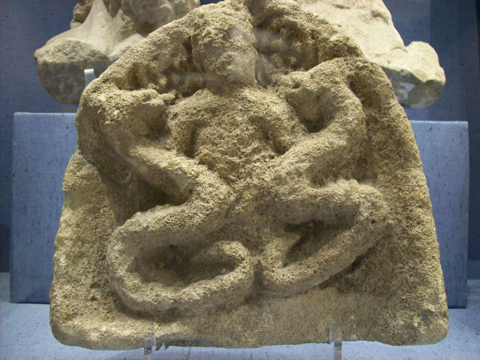 Cernunnos representation in Cirencester Museum